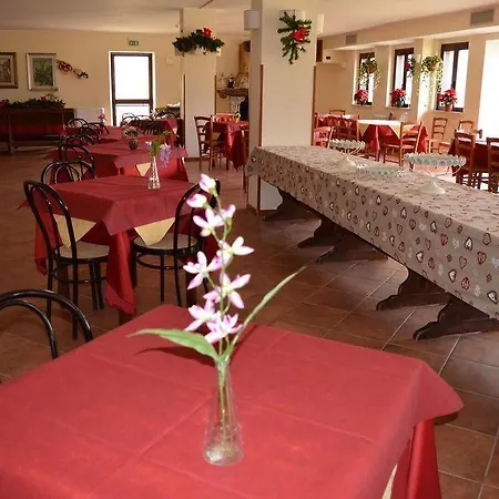 Faggio Rosso Pescasseroli